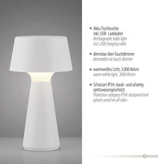 Zuma Line Abera 003902-029791 Lampka Biurkowa