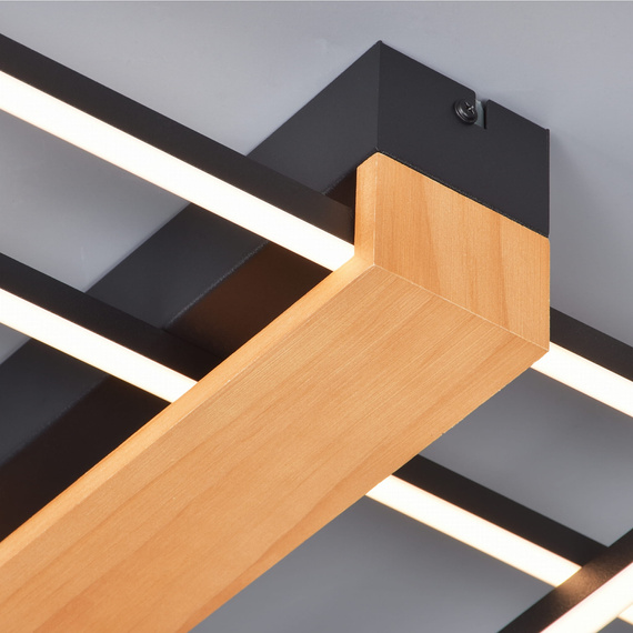 Zuma Line Plafon C230624202A Minar