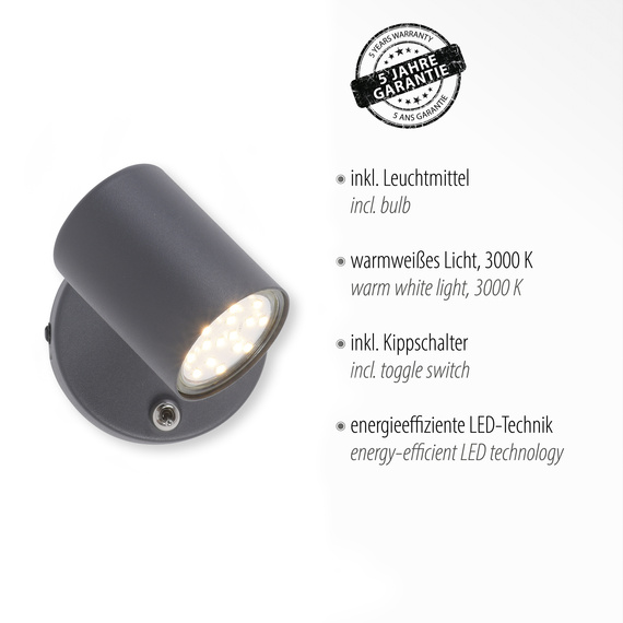 Lampa Sufitowa Zuma Line Tarik 003902-023205