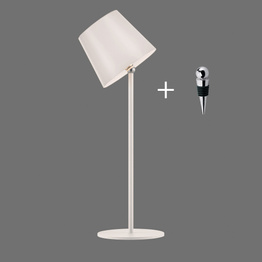 Zuma Line Boteria 003902-030539 Lampka Biurkowa