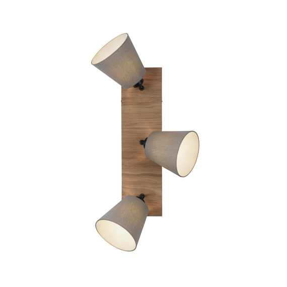 Plafon Paul Neuhaus Green Michel 003902-031765