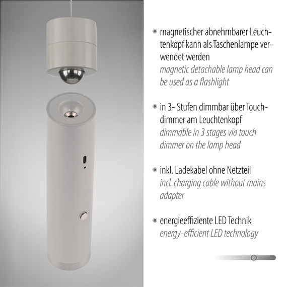 Lampa Wisząca Paul Neuhaus Attach 003902-032010