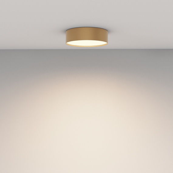 Maytoni Zon C032CL-24W3K-RD-MG Plafon