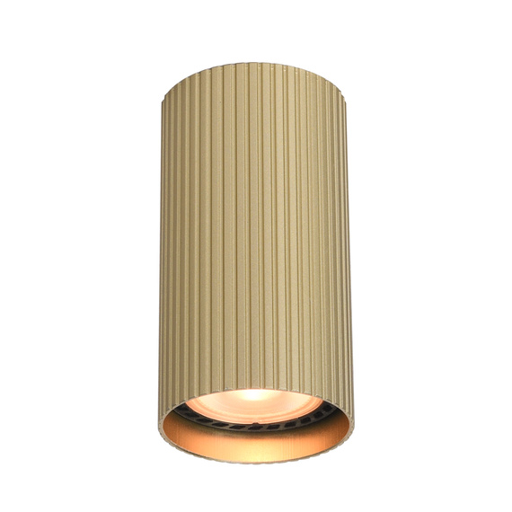 Reflektor Spot Italux Rilok Cln-83920-S-Gd