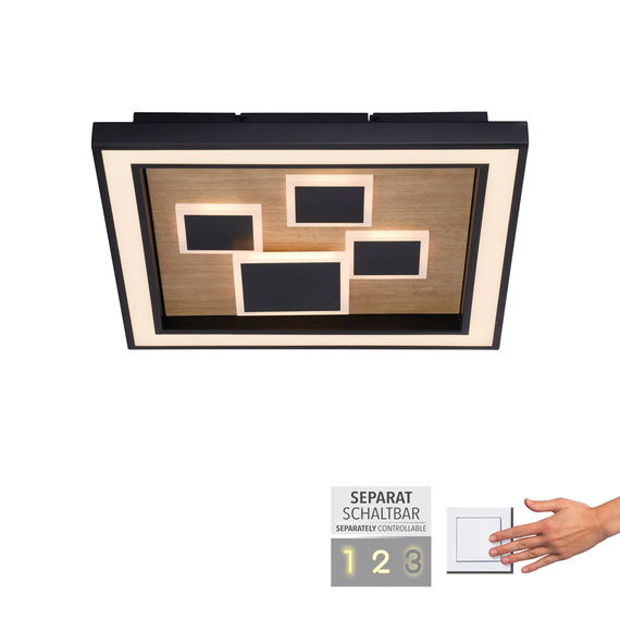 Zuma Line Eliza 003902-032213 Plafon