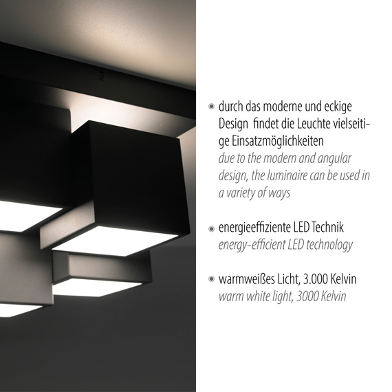 Paul Neuhaus Tetris 003902-031796 Plafon