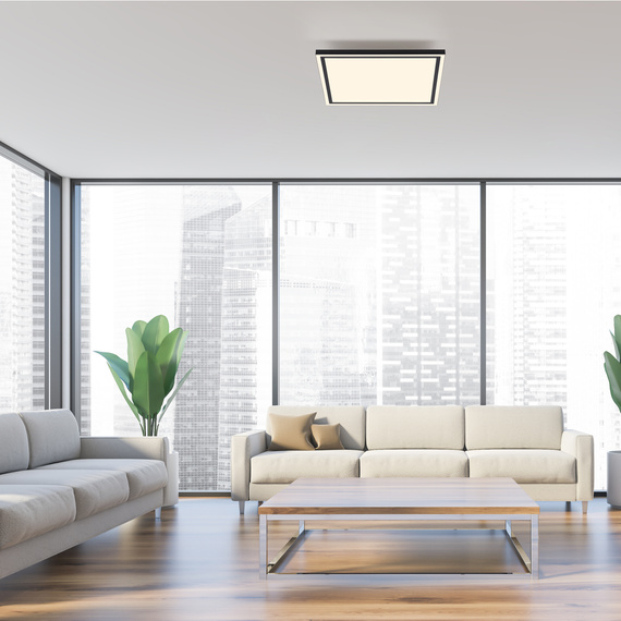 Plafon Paul Neuhaus Edging-smart 003902-031851