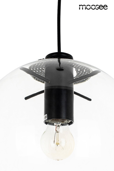 Zwis Moosee Sandra MSE010100309