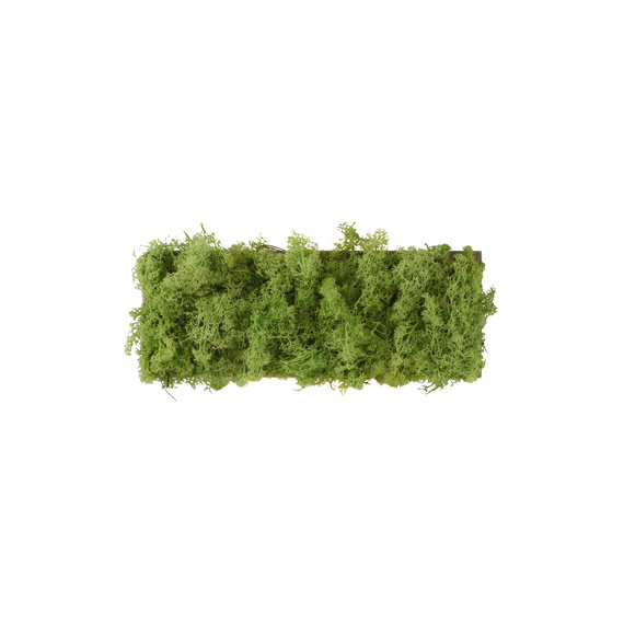 Lampa Sufitowa Zuma Line Green Carl 003902-031979