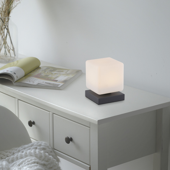 Lampa Biurkowa Paul Neuhaus Dadoa 003902-032175