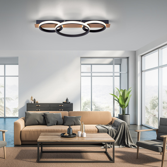 Plafon Paul Neuhaus Trooper 003902-028903