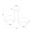 Zwis Argon 7088 Massimo