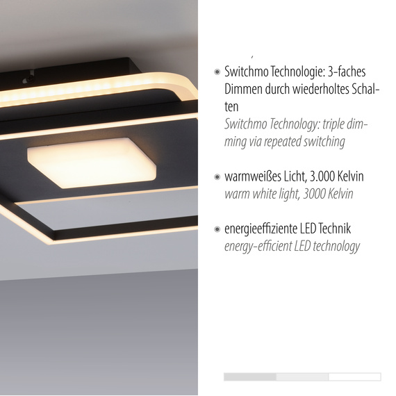 Lampa Sufitowa Zuma Line Domino 003902-031928