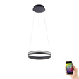 Lampa Wisząca Zuma Line Q-vito 003902-020200