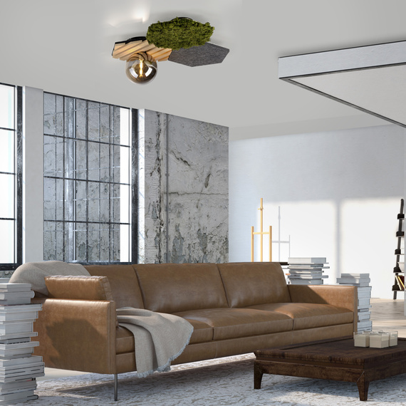 Plafon Paul Neuhaus Green Hex 003902-031936