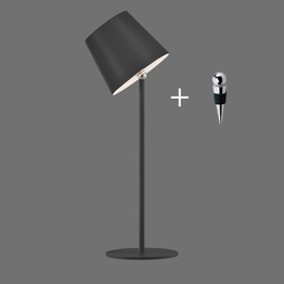 Zuma Line Boteria 003902-030540 Lampka Biurkowa