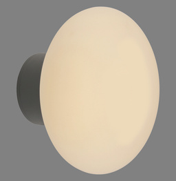 Lampa Sufitowa Paul Neuhaus Olaf 003902-032297