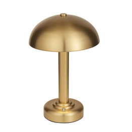 Lampa Stołowa Endon Bridport Rechargeable 110455