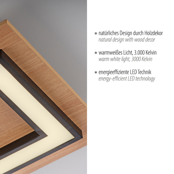 Lampa Sufitowa Paul Neuhaus Tola 003902-031866