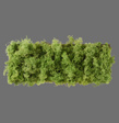 Lampa Sufitowa Zuma Line Green Carl 003902-031979