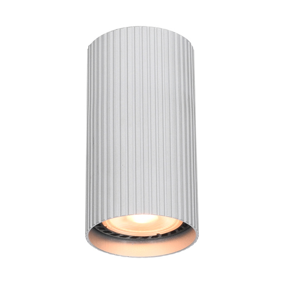 Reflektor Italux Rilok Cln-83920-S-Alu
