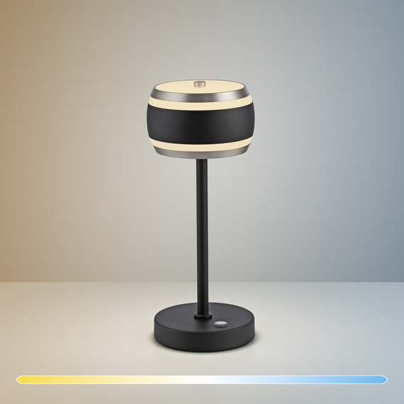 Lampka Biurkowa Paul Neuhaus Pure Falling Rings 003902-035374