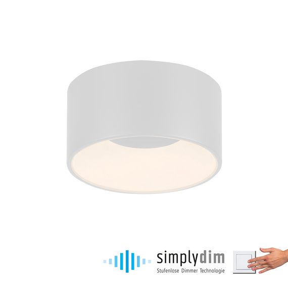 Plafon Zuma Line Tanika 003902-031834