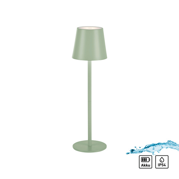Zuma Line Euria 003902-026801 Lampka Biurkowa