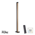 Paul Neuhaus Pure-lines 003902-031706 Lampa Stojąca