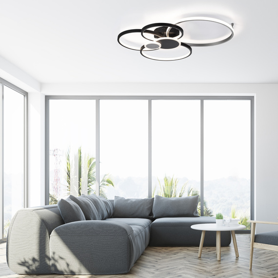 Lampa Sufitowa Paul Neuhaus Papilon 003902-029086