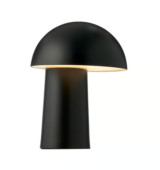 Lampa gabinetowa Nordlux Faye 2420155003