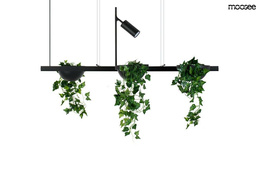 Żyrandol Moosee Plant MSE1501100210