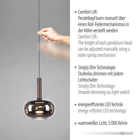 Lampa Wisząca Paul Neuhaus Irides 003902-030760