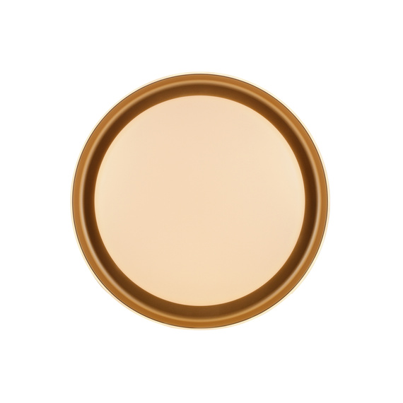 Plafon Paul Neuhaus Sati 003902-029790