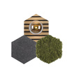 Plafon Zuma Line Green Hex 003902-031936