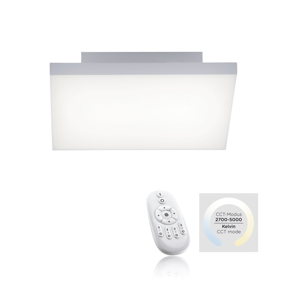 Plafon Paul Neuhaus Frameless 003902-032283