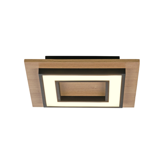 Lampa Sufitowa Zuma Line Tola 003902-031866