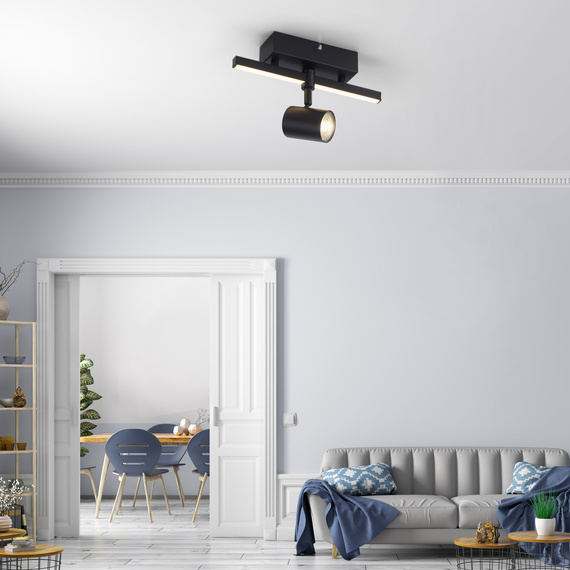 Lampa Sufitowa Paul Neuhaus Barik 003902-024427