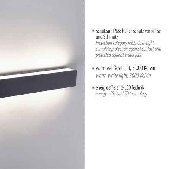 Lampa Ścienna Zuma Line Robert 003902-002796