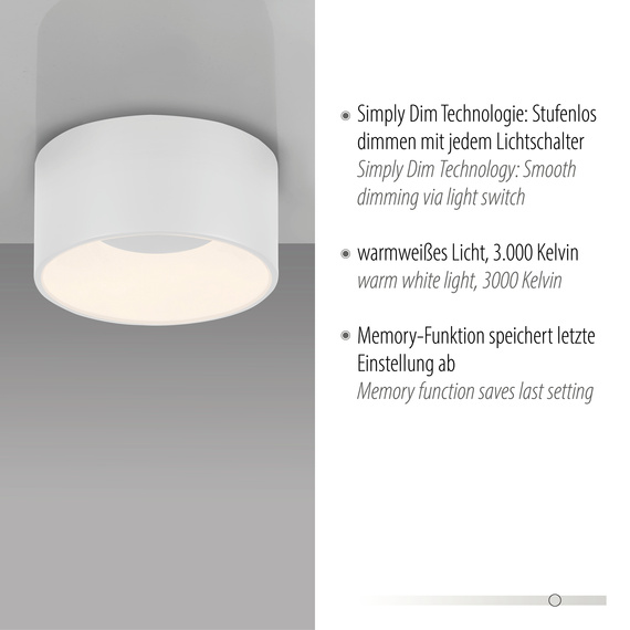 Plafon Zuma Line Tanika 003902-031834