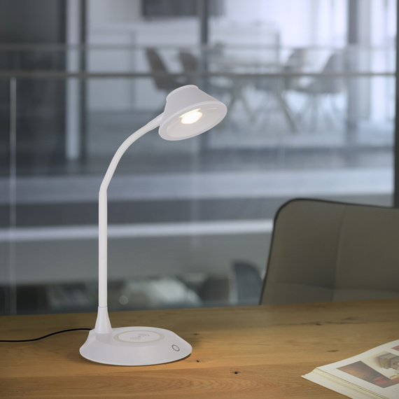 Lampa Biurkowa Paul Neuhaus Pucki 003902-031846