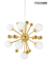 Zwis Moosee Aurelia MSE010100252