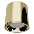 Spot MaxLight Form C0217 złoty IP65