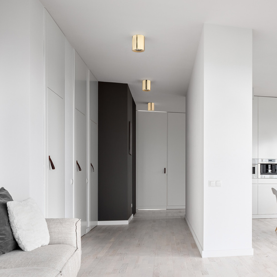 TK Lighting Orion 10129 Plafon