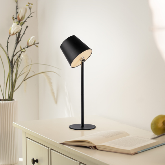 Paul Neuhaus Boteria 003902-030540 Lampka Biurkowa