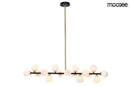 Zwis Moosee Cosmo MSE010100117