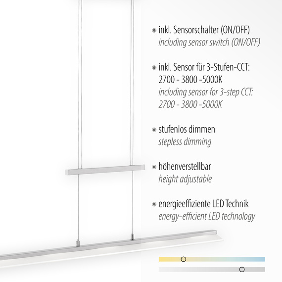 Żyrandol Paul Neuhaus Nele 003902-020203