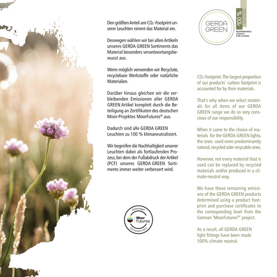 Plafon Paul Neuhaus Green Langström 003902-031763