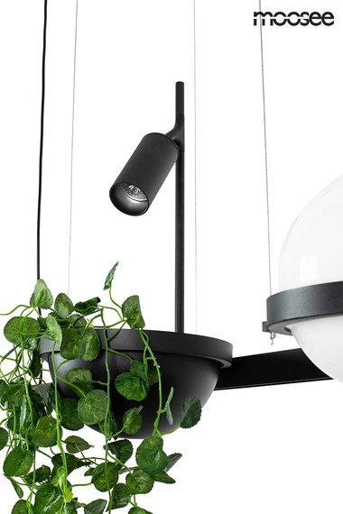 Zwis Moosee Plant MSE010100156