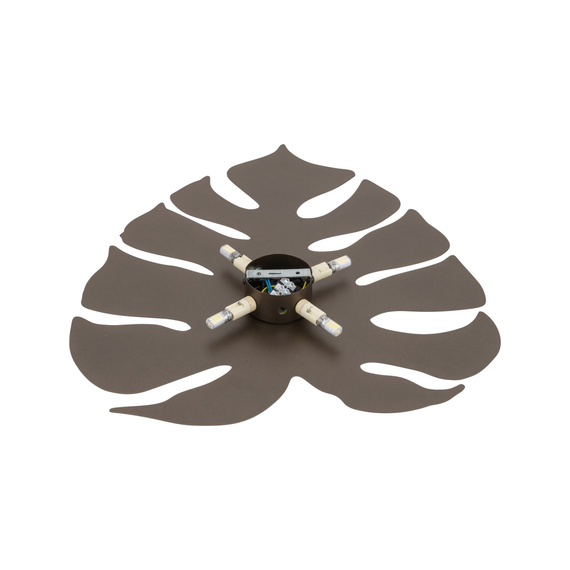 Lampa Ścienna TK Lighting Monstera 5822
